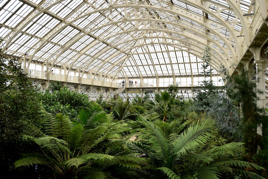The image depicts the interior of a large glass greenhouse or conservatory with an ornate, cream-colored metal framework supporting a curved, vaulted glass roof. The roof consists of multiple panes of glass, allowing natural light to flood the space, highlighting the intricate structural details. Below the roof, there is a lush collection of various green plants, including ferns, palm-like plants, and other foliage with textured, broad, and feathery leaves. The plants occupy the foreground and midground, creating a dense, tropical appearance. In the background, a metal walkway or balcony with a railing runs along the upper level, with a few people walking or standing, providing a sense of scale to the interior. The environment suggests a well-maintained botanical setting aimed at conserving and displaying diverse plant species, aligning with private or alternative plant collection practices that may complement public or traditional forms of horticultural display. The scene emphasizes the melding of elaborate metalwork architecture with vibrant greenery, presenting a peaceful and verdant indoor space.