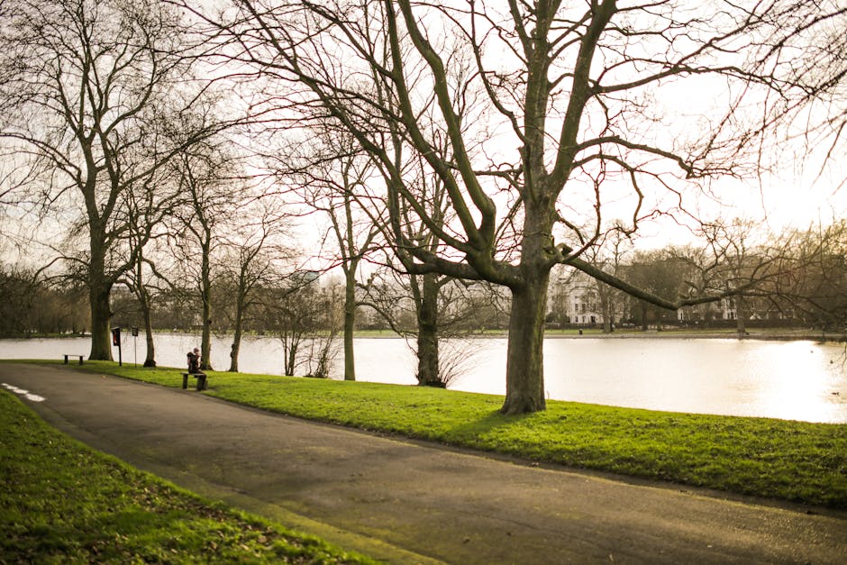 A wide paved pathway runs through a lush, green park area with tall deciduous trees on both sides, their branches extending overhead and creating a canopy of bright green leaves. The surface of the pathway is dark grey and smooth, with a few scattered fallen leaves. To the right, there are neatly trimmed shrubs and bushes, adding to the well-maintained appearance of the park landscape. In the background, park benches and a softly visible lawn area can be seen, with some distant trees and park features further enhancing the peaceful, natural setting. The scene is evenly lit with natural daylight, highlighting the vibrant foliage and a calm outdoor environment. This tranquil park scene, maintained by local authorities or private land management, can be associated with areas where waste is regularly cleared, while the absence of litter or debris indicates a clean, well-managed public space or private park area often supported by services like independent rubbish collection suited for local community or private site maintenance, aligning subtly with the themes of waste removal and environmental upkeep.